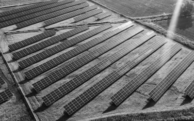 Excise tax refund for an energy-intensive plant – who can apply?