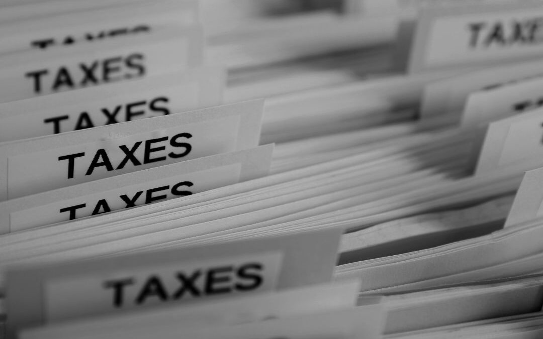 CIT estoński w 2025 – co się zmieniło i jak się przygotować?