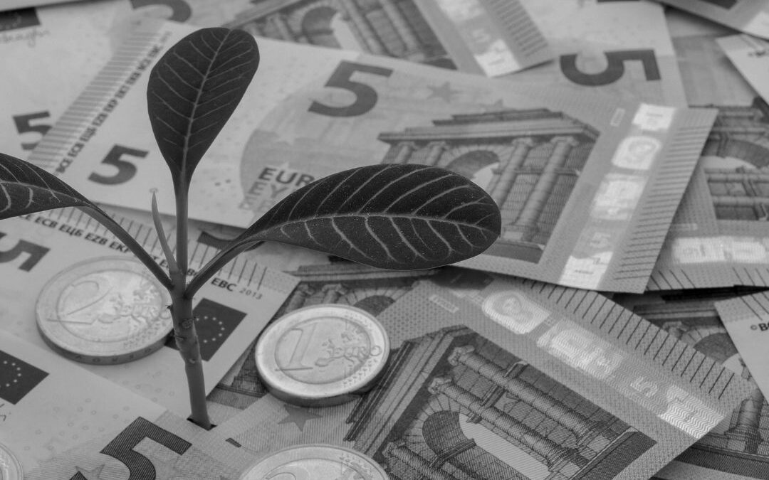 Wyłudzenie dotacji unijnej – na czym polega i jakie są kary?
