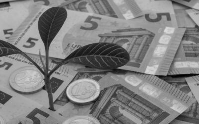 Wyłudzenie dotacji unijnej – na czym polega i jakie są kary?